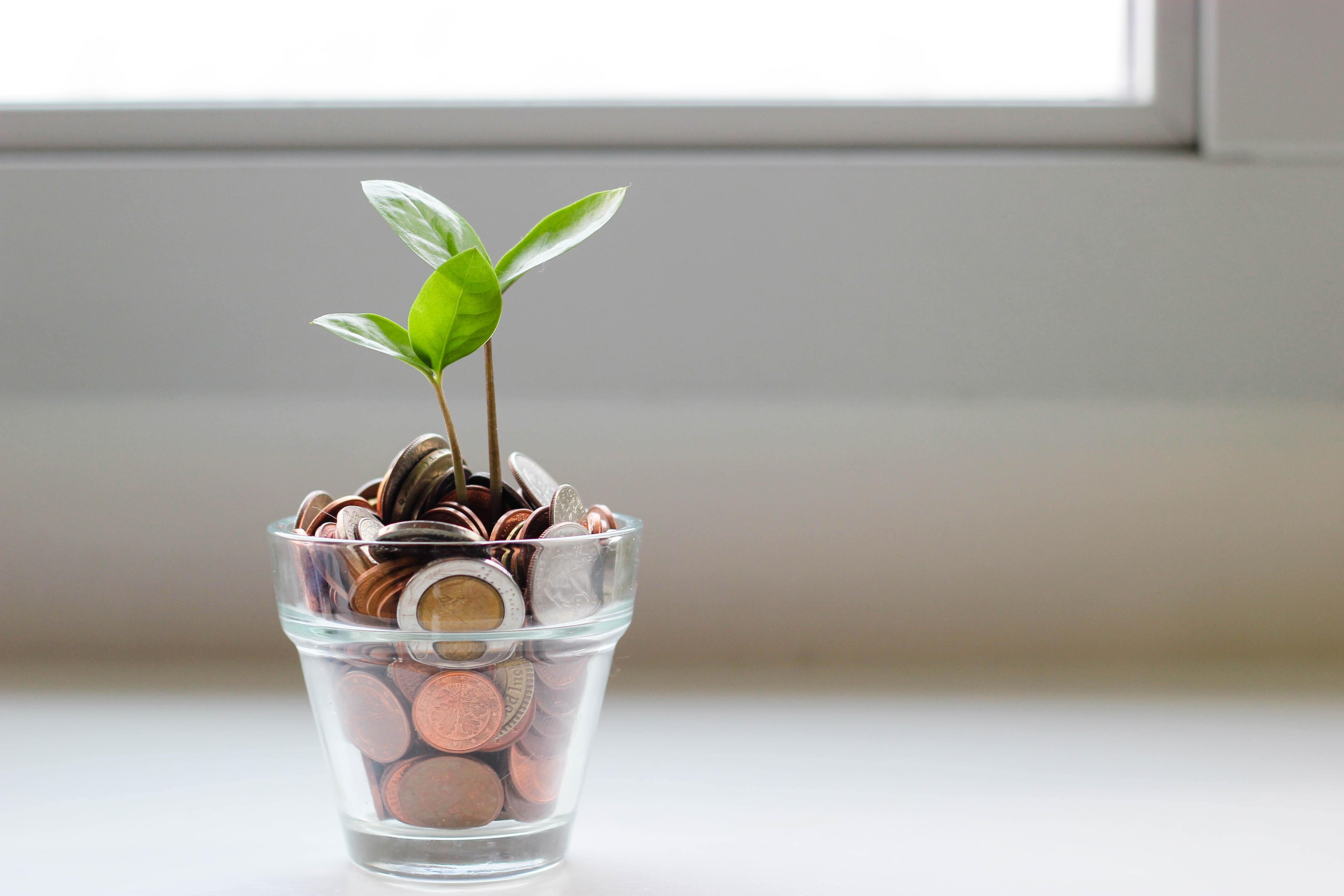 A small glass filled with coins has two small plants growing out of it.